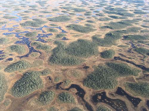 alexander lake closeup photography of body of water alcyonacea